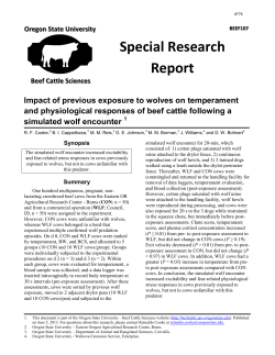 Download report (PDF)