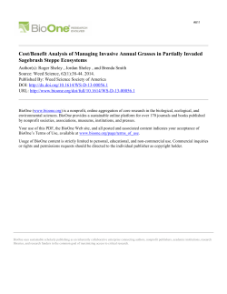 Download report (PDF)