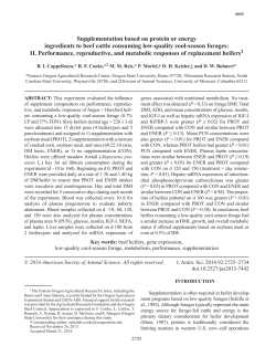 Download report (PDF)