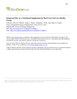 Download report (PDF)