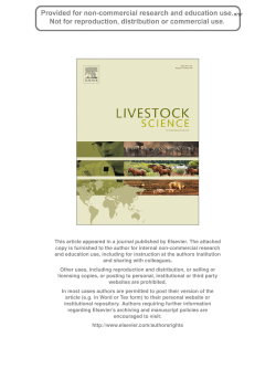 Download report (PDF)