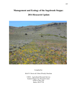 Download report (PDF)