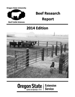 Download report (PDF)