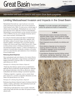 Download report (PDF)