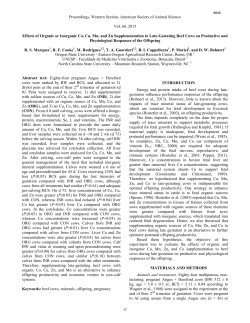 Download report (PDF)