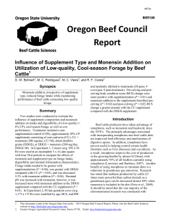 Download report (PDF)