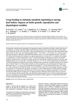 Download report (PDF)