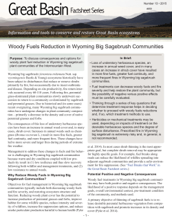 Great Basin Fact Sheet &ndash; Woody Fuels Reduction in Wyoming Big Sagebrush Communities