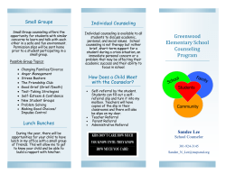 School Counseling Brochure