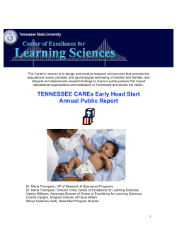2010 - 2011 Tennessee CAREs Annual Public Report