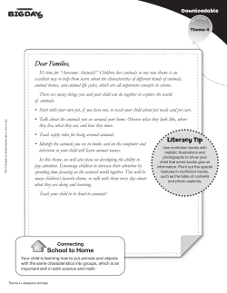 Theme 4 - Awesome Animals Newsletter