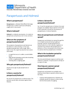 Parapertussis (PDF: 33KB/1 page)