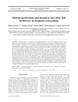 Full text in pdf format