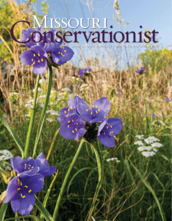 Download the current issue