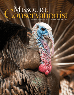 Download the current issue