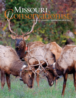 Download the current issue