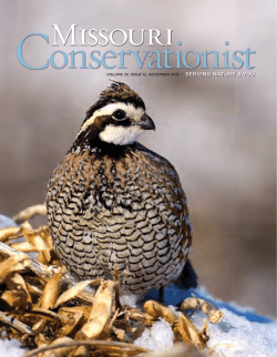 Download the current issue