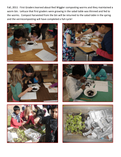 Gr 1 Worms 2011