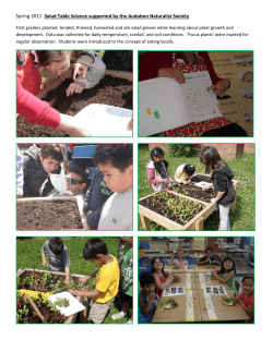 Salad Table Pictures