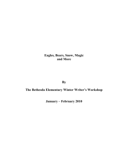BE 2010 Winter Literary Magazine