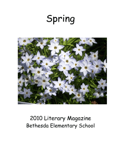 BE 2010 Spring Literary Magazine