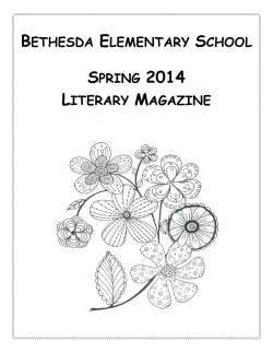BE 2014 Spring Literary Magazine&nbsp;&nbsp;