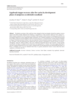 Sagebrush Steppe Recovery After Fire Varies by Development Phase of Juniperus Occidentalis Woodland