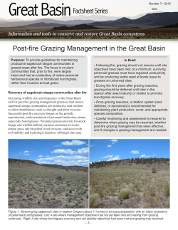 Great Basin Fact Sheet &ndash; Post-Fire Grazing Management in the Great Basin