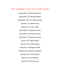 Cool Cat of the Week