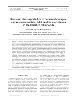 Full text in pdf format