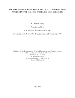 d13004_Badruddoza.pdf