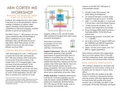 One Day Workshop On "ARM Cortex MO" on 3rd January 2011