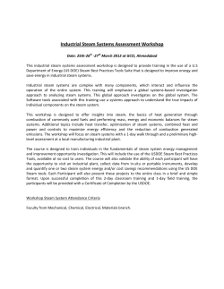 Focused Workshop on Energy efficiency in steam system