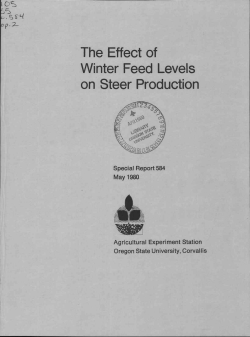 The effect of winter feed levels on steer production.