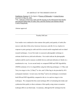 Ph.D Dissertation