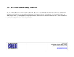 2012 Minnesota Infant Mortality Data Book