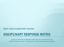 RockViewDisciplineMatrix2014