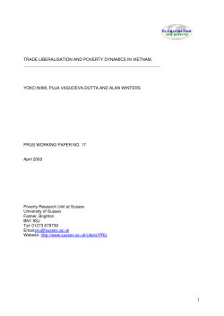 PRUS-WP-17 [PDF 500.48KB]