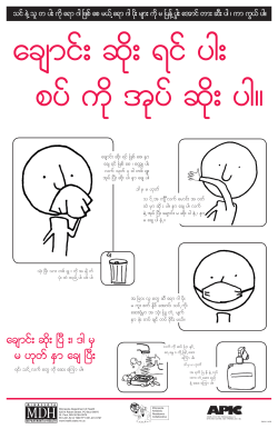 Burmese (PDF: 1000KB/1 page)