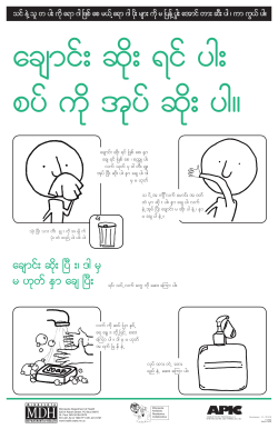 Burmese (PDF: 1000KB/1 page)
