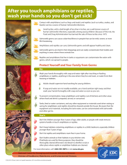 After you touch amphibians or reptiles, wash your hands so you don&rsquo;t get sick! (PDF: 628KB/1 page)
