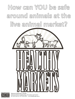 Healthy Market Coloring Book : How can you be safe around animals at the live animal market? (PDF: 648KB/5 pages)