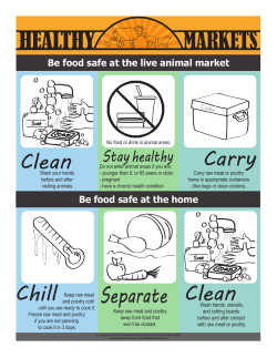Healthy Market Flyer : Be food safe at the live animal market - English (PDF: 1,210KB/1 page)