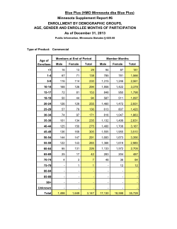 Blue Plus (PDF: 156.89KB/ 15 pages)