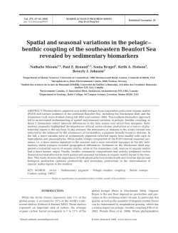 Full text in pdf format