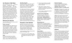 Iron Bacteria in Well Water (PDF)