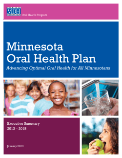 Minnesota Oral Health Plan 2013 - Executive Summary