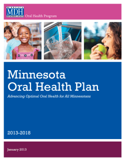 Minnesota Oral Health Plan 2013