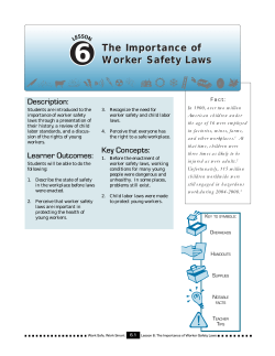 Lesson 6: The Importance of Worker Safety Laws (PDF: 934 KB/20 pages)