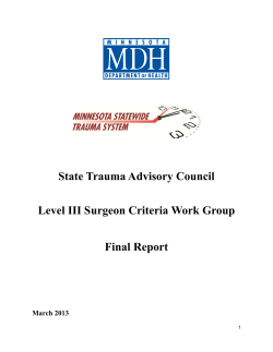 Level 3 Surgeon Workgroup Final Report 2013